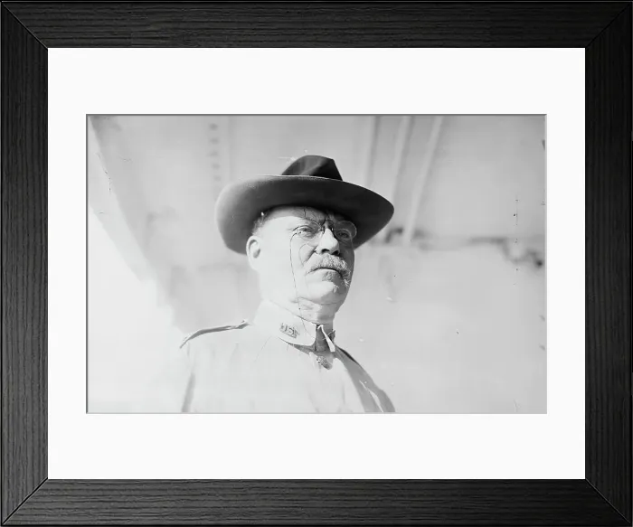 Framed Print : Gen. Tasker H. Bliss, 1911. Creator: Bain News Service Framed Print : Gen. Tasker H. Bliss, 1911. Creator: Bain News Service
