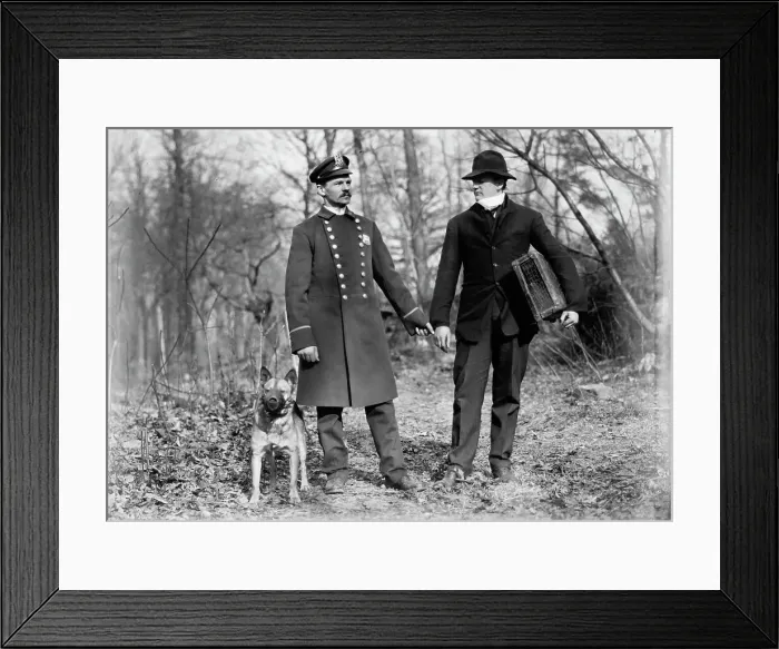Framed Print : Police dogs, policeman, and thief, New York City, 1912. Creator: Bain News Service Framed Print : Police dogs, policeman, and thief, New York City, 1912. Creator: Bain News Service