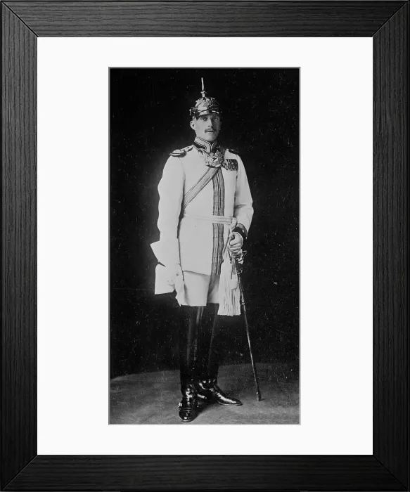 Framed Print : Count Hermann von Scherr-Thoss, in uniform, E. Waldleben, Breslau, 1916. Creator: Bain News Service Framed Print : Count Hermann von Scherr-Thoss, in uniform, E. Waldleben, Breslau, 1916. Creator: Bain News Service