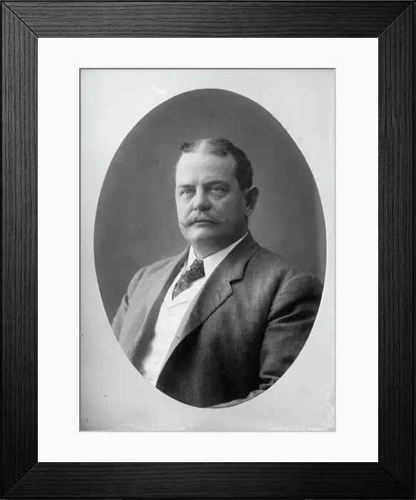 Framed Print : C.S. Francis, cameo portrait, 1910. Creator: Bain News Service Framed Print : C.S. Francis, cameo portrait, 1910. Creator: Bain News Service