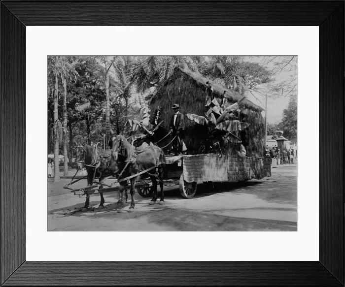 Framed Print : An old Hawaiian dwelling - float in Floral Parade, Honolulu, 1910. Creator: Bain News Service Framed Print : An old Hawaiian dwelling - float in Floral Parade, Honolulu, 1910. Creator: Bain News Service