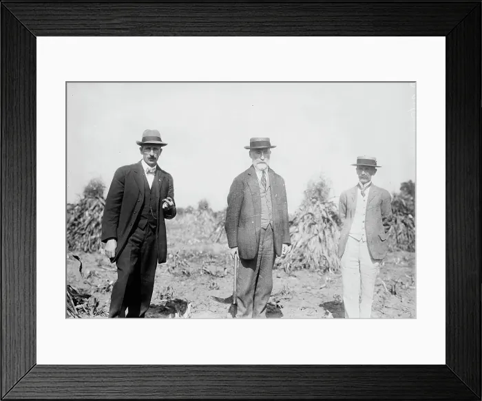 Framed Print : Gaynor with others in cornfield, St. James, L.I. 1910. Creator: Bain News Service Framed Print : Gaynor with others in cornfield, St. James, L.I. 1910. Creator: Bain News Service