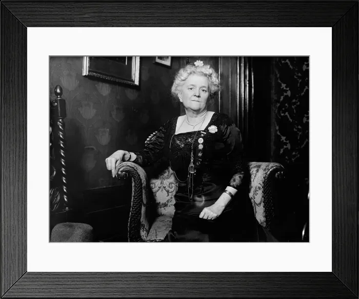 Framed Print : Mrs. John Sherwin Crosby, 1911. Creator: Bain News Service Framed Print : Mrs. John Sherwin Crosby, 1911. Creator: Bain News Service