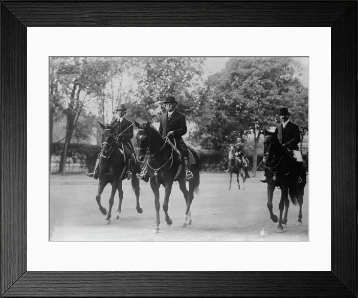 Framed Print : President Diaz, between c1910 and c1915. Creator: Bain News Service Framed Print : President Diaz, between c1910 and c1915. Creator: Bain News Service