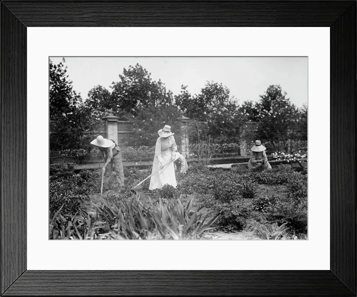 Framed Print : At work on Mrs. Belmont's Farm for girls, between c1910 and c1915. Creator: Bain News Service