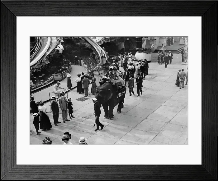 Framed Print : Coney Island, Riding Elephant, 1911. Creator: Bain News Service Framed Print : Coney Island, Riding Elephant, 1911. Creator: Bain News Service
