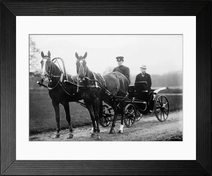 Framed Print : Prestashka Team of W. Winans, between c1910 and c1915. Creator: Bain News Service Framed Print : Prestashka Team of W. Winans, between c1910 and c1915. Creator: Bain News Service