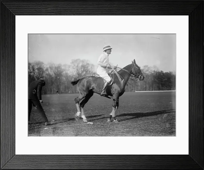 Framed Print : Capt. Lloyd (Eng. Polo Team), 1911. Creator: Bain News Service Framed Print : Capt. Lloyd (Eng. Polo Team), 1911. Creator: Bain News Service