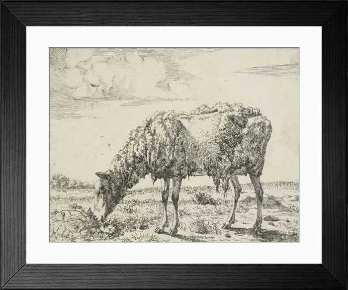Framed Print : Cows and a sheep. Plate 8: A grazing sheep, 1664. Creator: Marcus de Bye Framed Print : Cows and a sheep. Plate 8: A grazing sheep, 1664. Creator: Marcus de Bye