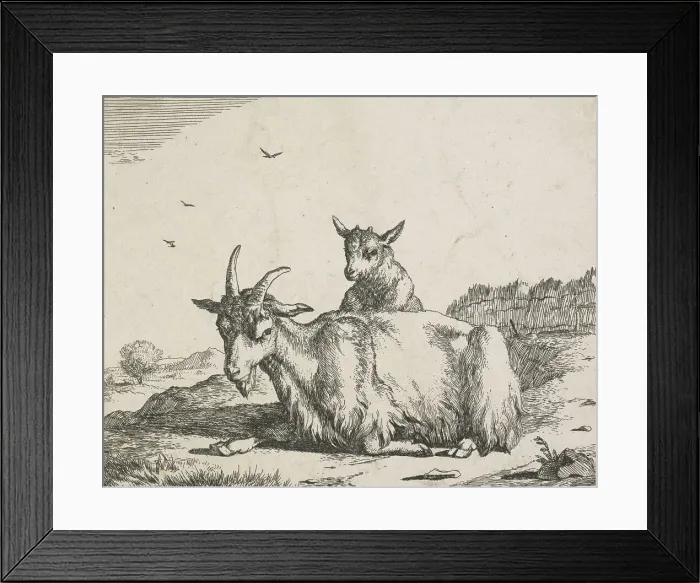 Framed Print : Goats: Plate 6: Nanny goat and kid, Mid 17th century. Creator: Marcus de Bye Framed Print : Goats: Plate 6: Nanny goat and kid, Mid 17th century. Creator: Marcus de Bye