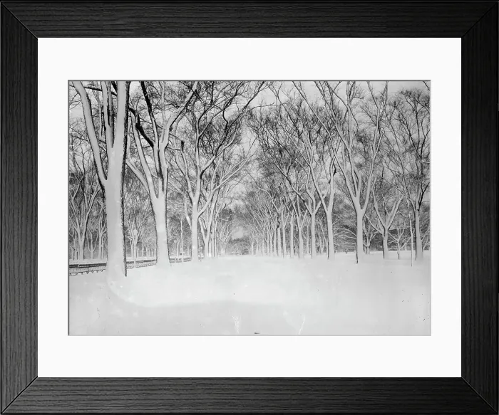 Framed Print : The Mall, Central Park, between c1910 and c1915. Creator: Bain News Service