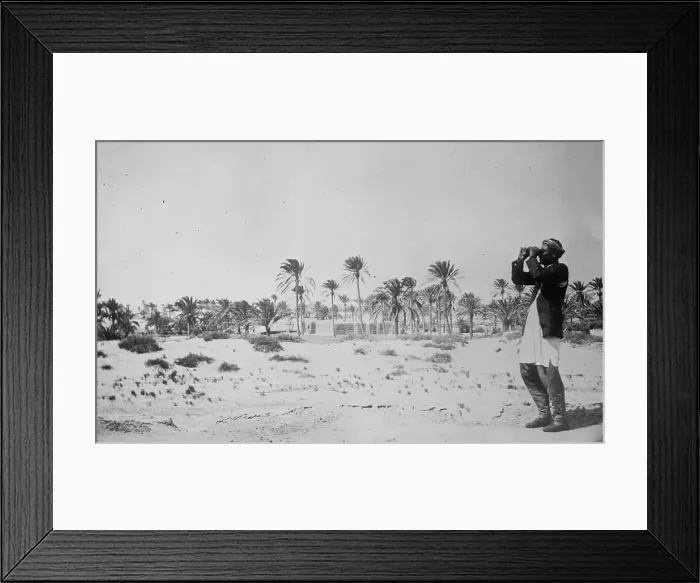 Framed Print : Oasis of Misturata, between c1910 and c1915. Creator: Bain News Service Framed Print : Oasis of Misturata, between c1910 and c1915. Creator: Bain News Service