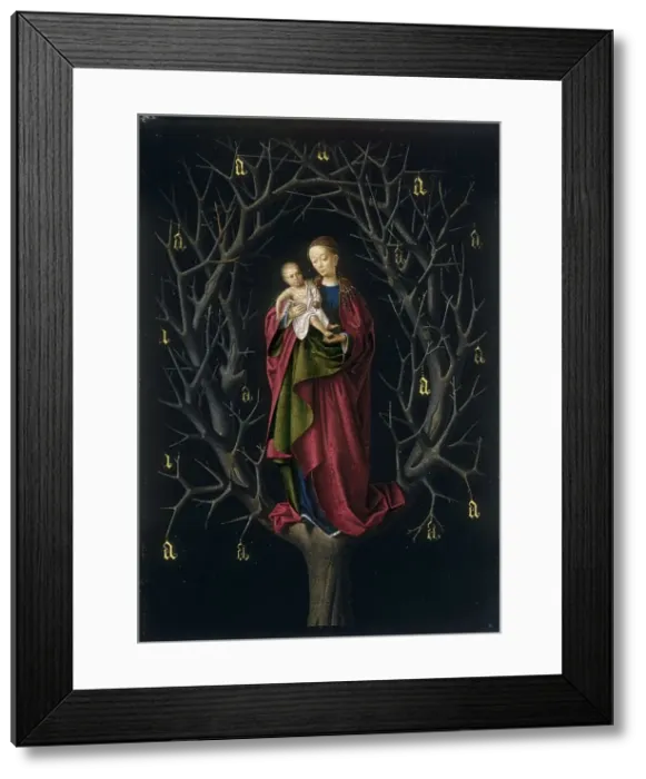 Framed Print : The Virgin of the dry Tree, 1465. Creator: Petrus Christus Framed Print : The Virgin of the dry Tree, 1465. Creator: Petrus Christus