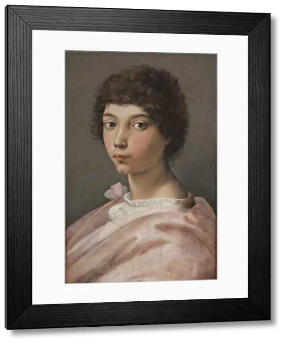 Framed Print : Portrait of a Young Man, 1518. Creator: Raphael Framed Print : Portrait of a Young Man, 1518. Creator: Raphael