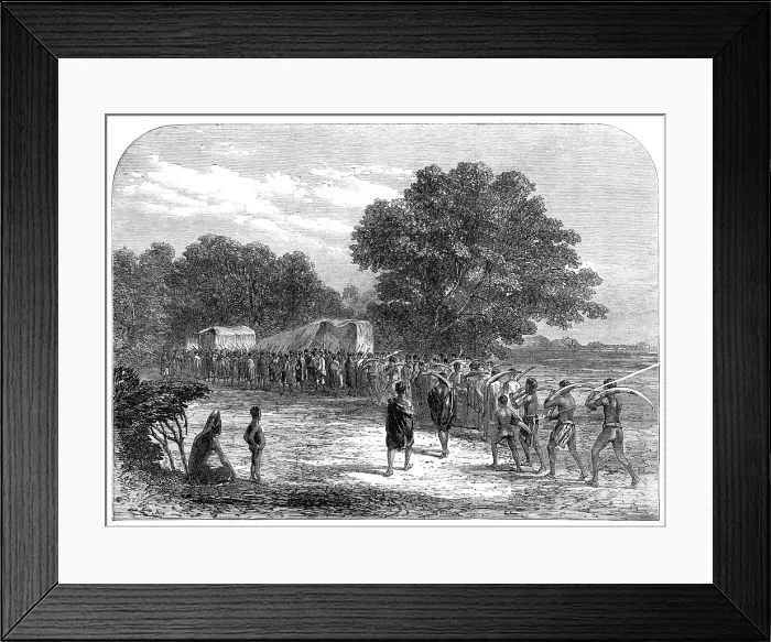Framed Print : Bringing ivory to the waggons in South Africa, 1868. Creator: Unknown