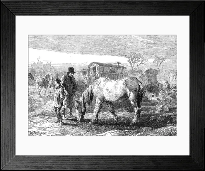 Framed Print : The Last Lot, by G. H. Thomas, general exhibition of water-colour drawings, Dudley Gallery, 1868. Creator: W Thomas Framed Print : The Last Lot, by G. H. Thomas, general exhibition of water-colour drawings, Dudley Gallery, 1868. Creator: W Thomas