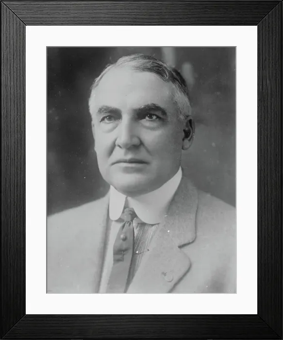 Framed Print : W.G. Harding, 1916. Creator: Bain News Service Framed Print : W.G. Harding, 1916. Creator: Bain News Service