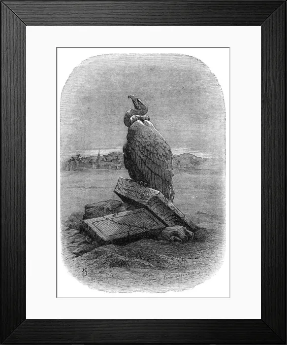 Framed Print : Purification (the Griffon Vulture): from The Bird, by J. Michelet, 1868. Creators: Adolphe François Pannemaker, Albert Doms Framed Print : Purification (the Griffon Vulture): from The Bird, by J. Michelet, 1868. Creators: Adolphe François Pannemaker, Albert Doms