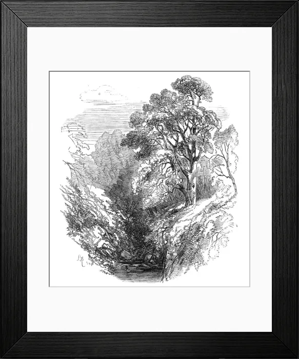 Framed Print : Cawdor Woods, 1868. Creator:s Read Framed Print : Cawdor Woods, 1868. Creator:s Read
