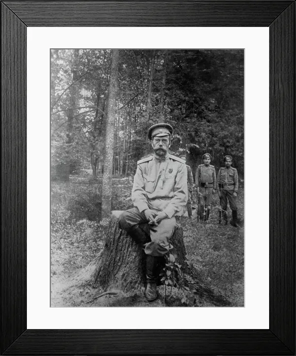 Framed Print : Nicholas Romanoff [Romanov], 1917. Creator: Bain News Service