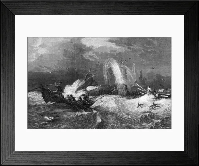 Framed Print : South Sea Whaling by Oswald W. Brierly, Exhibition of Water-Colour Drawings, Dudley Gallery, 1868. Creator: W Thomas Framed Print : South Sea Whaling by Oswald W. Brierly, Exhibition of Water-Colour Drawings, Dudley Gallery, 1868. Creator: W Thomas