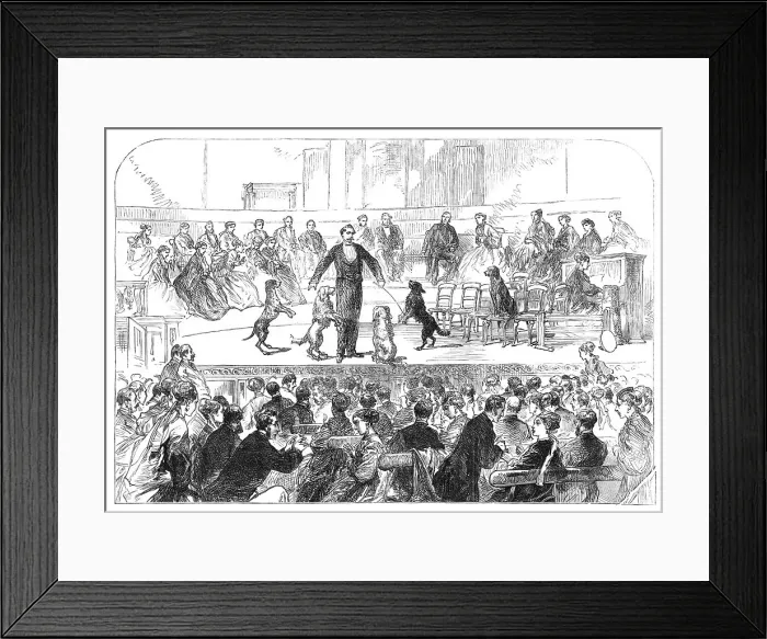 Framed Print : Christmas Soiree at the Hanover-Square Rooms, of the Association in aid of the Deaf and Dumb, 1869. Creator: Unknown Framed Print : Christmas Soiree at the Hanover-Square Rooms, of the Association in aid of the Deaf and Dumb, 1869. Creator: Unknown