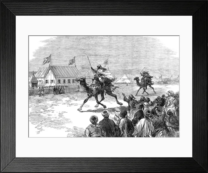 Framed Print : Fetes of the Viceroy of Egypt at Cairo: the dromedary-race, 1869. Creator: Unknown Framed Print : Fetes of the Viceroy of Egypt at Cairo: the dromedary-race, 1869. Creator: Unknown