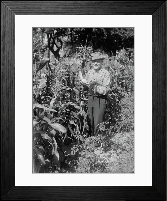 Framed Print : Billy Murray, between c1915 and c1920. Creator: Bain News Service Framed Print : Billy Murray, between c1915 and c1920. Creator: Bain News Service