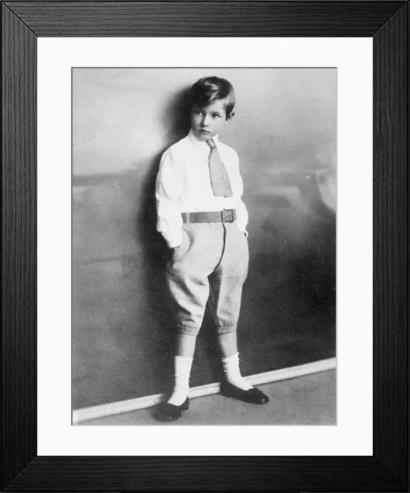 Framed Print : Prince Alex. Ferdinand, between c1915 and c1920. Creator: Bain News Service Framed Print : Prince Alex. Ferdinand, between c1915 and c1920. Creator: Bain News Service