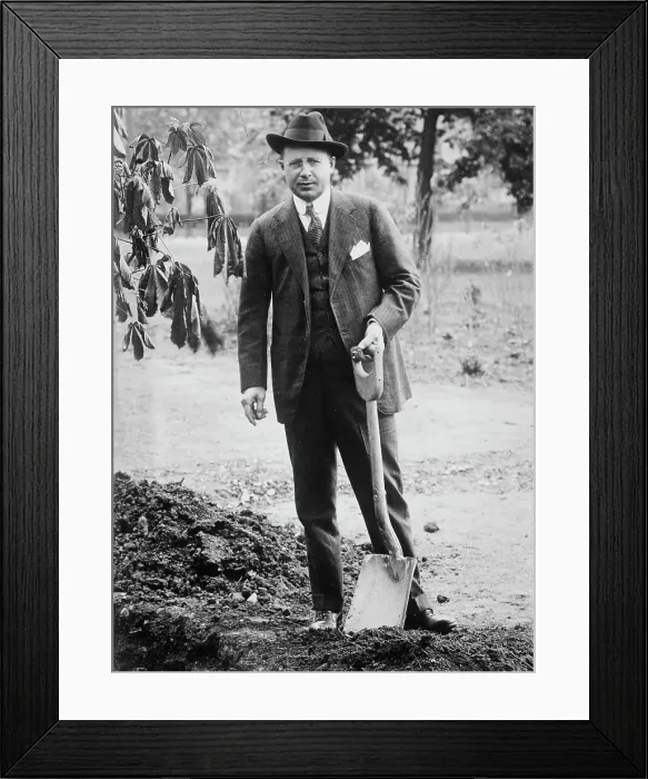 Framed Print : J.M. Cox, between c1915 and c1920. Creator: Bain News Service Framed Print : J.M. Cox, between c1915 and c1920. Creator: Bain News Service