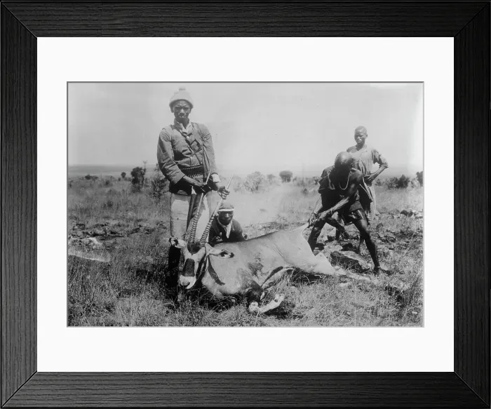 Framed Print : Antelope killed in Africa, between c1915 and c1920. Creator: Bain News Service Framed Print : Antelope killed in Africa, between c1915 and c1920. Creator: Bain News Service