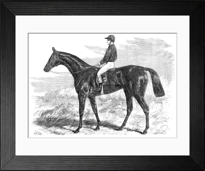 Framed Print : Pretender, winner of the Derby, 1869. Creator: Unknown Framed Print : Pretender, winner of the Derby, 1869. Creator: Unknown