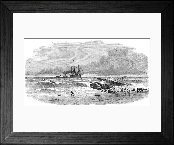 Framed Print : Suppression of the Slave Trade...running on shore of a slave-dhow to escape capture, 1869. Creator: Unknown