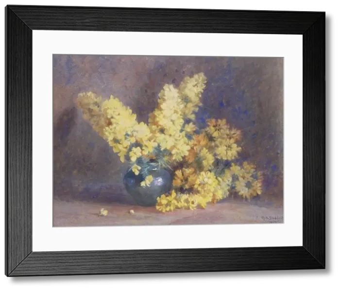 Framed Print : Yellow blossom and rosemary, 1897. Creator: Margaret Stoddart Framed Print : Yellow blossom and rosemary, 1897. Creator: Margaret Stoddart