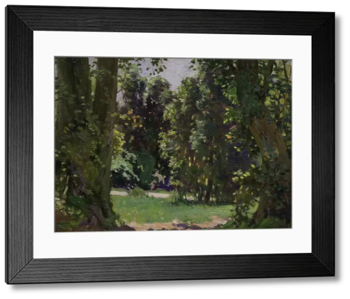 Framed Print : Peel Forest, c1920s. Creator: Archibald Frank Nicoll Framed Print : Peel Forest, c1920s. Creator: Archibald Frank Nicoll
