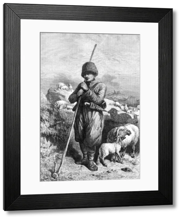 Framed Print : The Crimea Revisited: the Tartar Shepherd, 1869. Creator: Unknown Framed Print : The Crimea Revisited: the Tartar Shepherd, 1869. Creator: Unknown