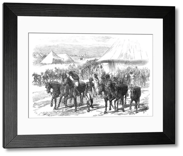 Framed Print : The Expedition to Abyssinia: mules and mule drivers, 1868. Creator: C. R Framed Print : The Expedition to Abyssinia: mules and mule drivers, 1868. Creator: C. R
