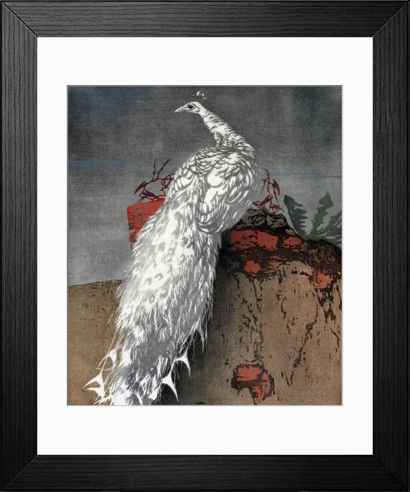 Framed Print : White peacock, 1910. Creator: Hans Frank Framed Print : White peacock, 1910. Creator: Hans Frank