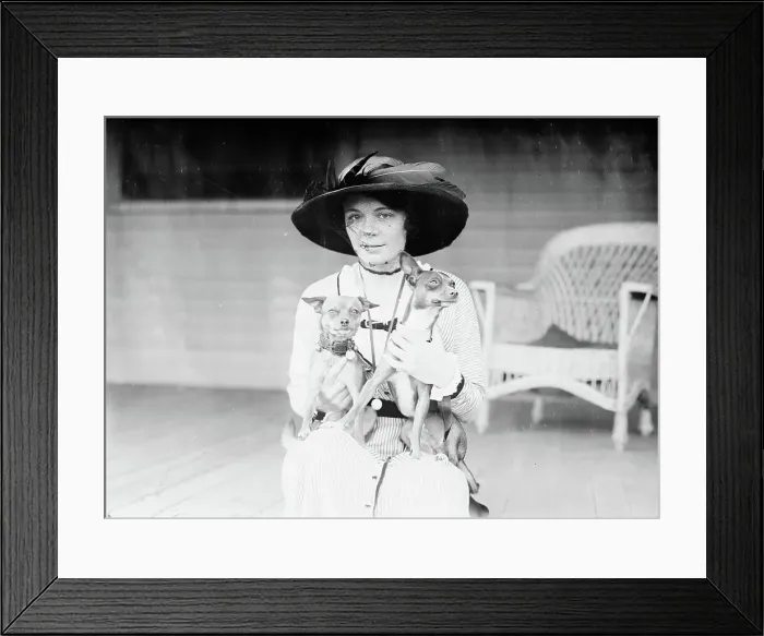 Framed Print : Constance McCall, between c1910 and c1915. Creator: Bain News Service Framed Print : Constance McCall, between c1910 and c1915. Creator: Bain News Service
