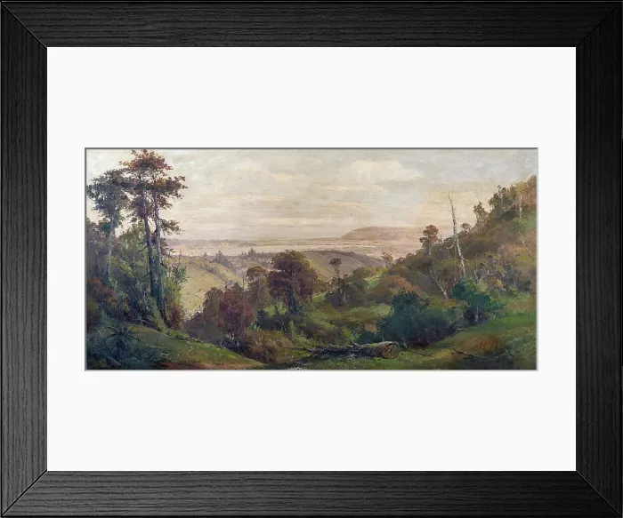 Framed Print : Dunedin from Pine Hill, c1900s. Creator: George William Carrington Framed Print : Dunedin from Pine Hill, c1900s. Creator: George William Carrington