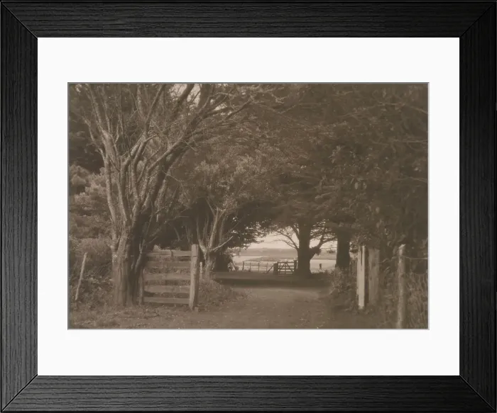 Framed Print : On a farm Hawera, Taranaki, N. Z. 1920s. Creator: Eunice Harriett Garlick Framed Print : On a farm Hawera, Taranaki, N. Z. 1920s. Creator: Eunice Harriett Garlick