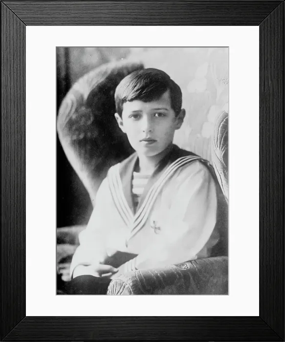 Framed Print : Czarewitsch, between c1910 and c1915. Creator: Bain News Service Framed Print : Czarewitsch, between c1910 and c1915. Creator: Bain News Service