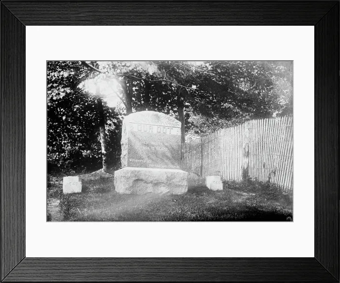 Framed Print : Dog cemetery - Hartsdale, between c1910 and c1915. Creator: Bain News Service Framed Print : Dog cemetery - Hartsdale, between c1910 and c1915. Creator: Bain News Service