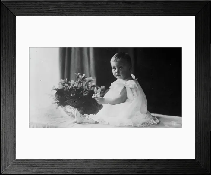Framed Print : Prince Frederick of Prussia, between c1910 and c1915. Creator: Bain News Service Framed Print : Prince Frederick of Prussia, between c1910 and c1915. Creator: Bain News Service