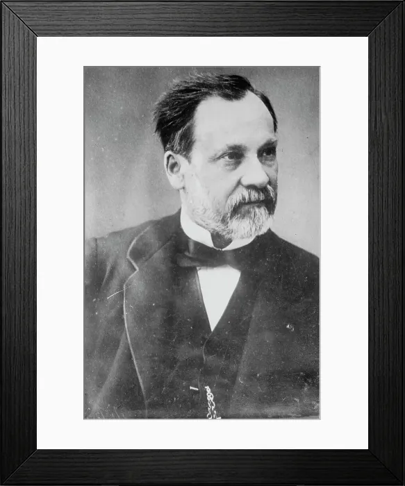 Framed Print : Dr. Pastuer [i.e. Pasteur], between c1910 and c1915. Creator: Bain News Service