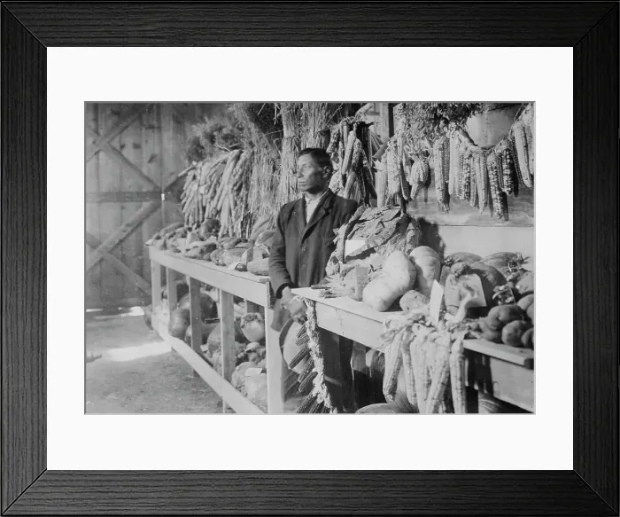Framed Print : Horse's Ghost at the fair, Poplar, Mont. between c1910 and c1915. Creator: Bain News Service Framed Print : Horse's Ghost at the fair, Poplar, Mont. between c1910 and c1915. Creator: Bain News Service