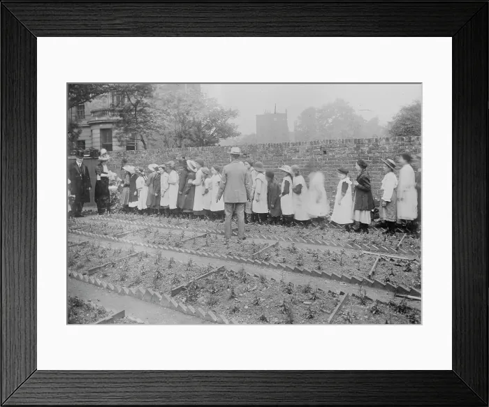 Framed Print : Lady Henry and T.P. O'Connor distribute cabbages, 1913. Creator: Bain News Service Framed Print : Lady Henry and T.P. O'Connor distribute cabbages, 1913. Creator: Bain News Service