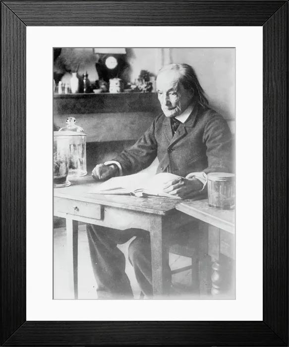 Framed Print : Jean Henri Fabre, between c1910 and c1915. Creator: Bain News Service Framed Print : Jean Henri Fabre, between c1910 and c1915. Creator: Bain News Service