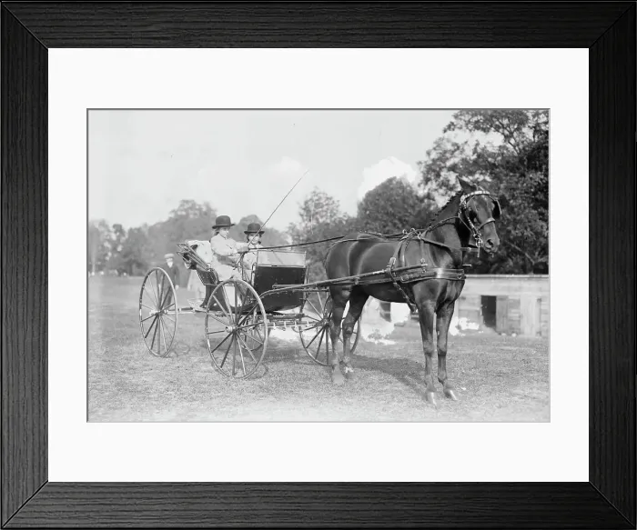 Framed Print : Josephine Eliz. Jenks driving Frills, between c1910 and c1915. Creator: Bain News Service Framed Print : Josephine Eliz. Jenks driving Frills, between c1910 and c1915. Creator: Bain News Service