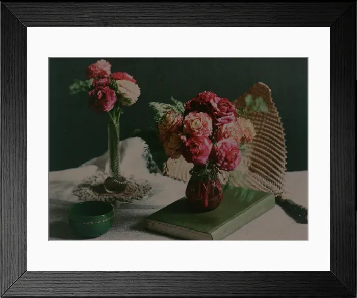 Framed Print : Ranunculi, 1914. Creator: Robert Walrond Framed Print : Ranunculi, 1914. Creator: Robert Walrond